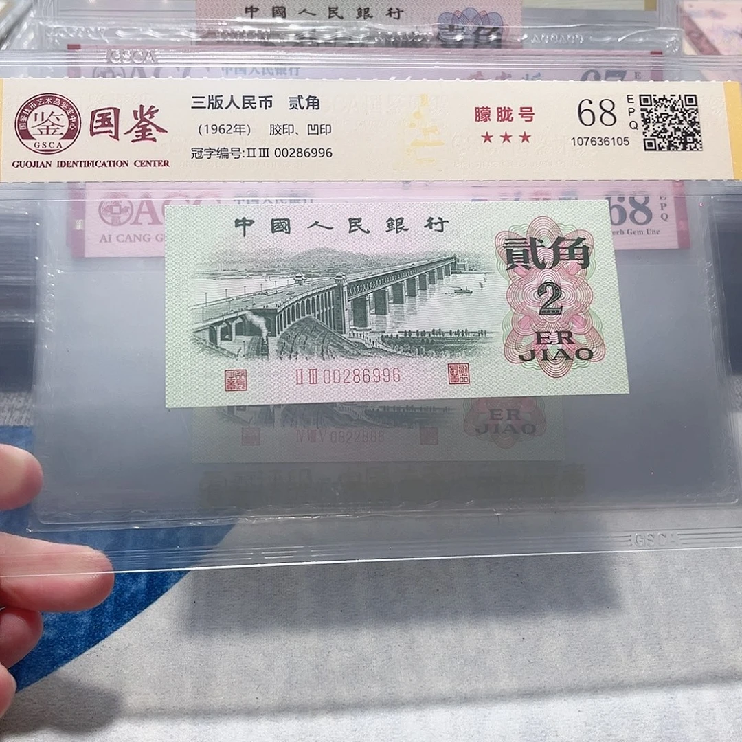 00286996。。。。。龙珠