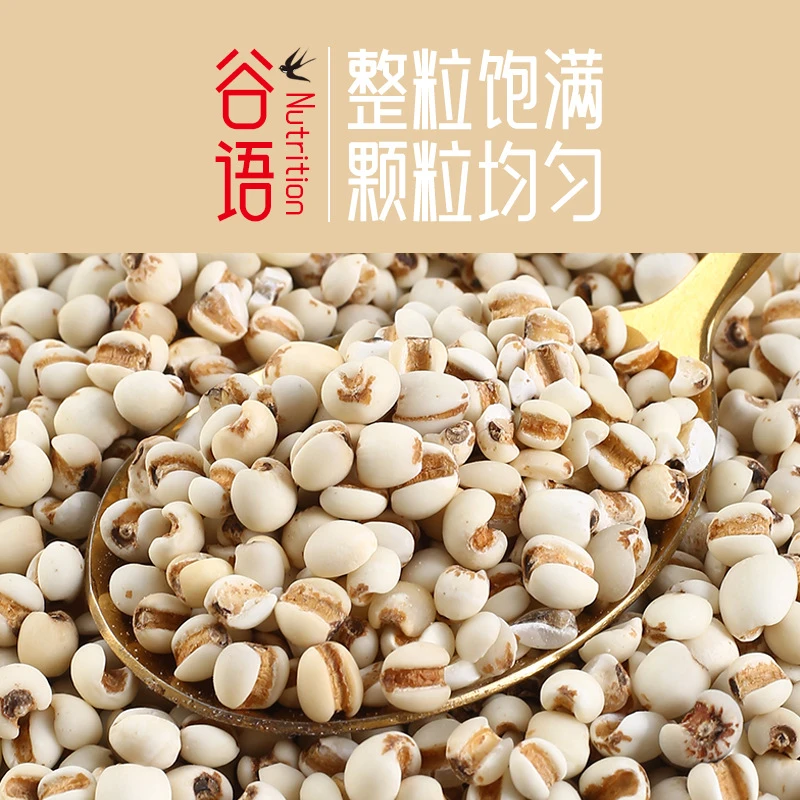 薏米仁500g农家薏苡仁新鲜大薏米真空包装薏仁米去湿五谷杂粮煲汤