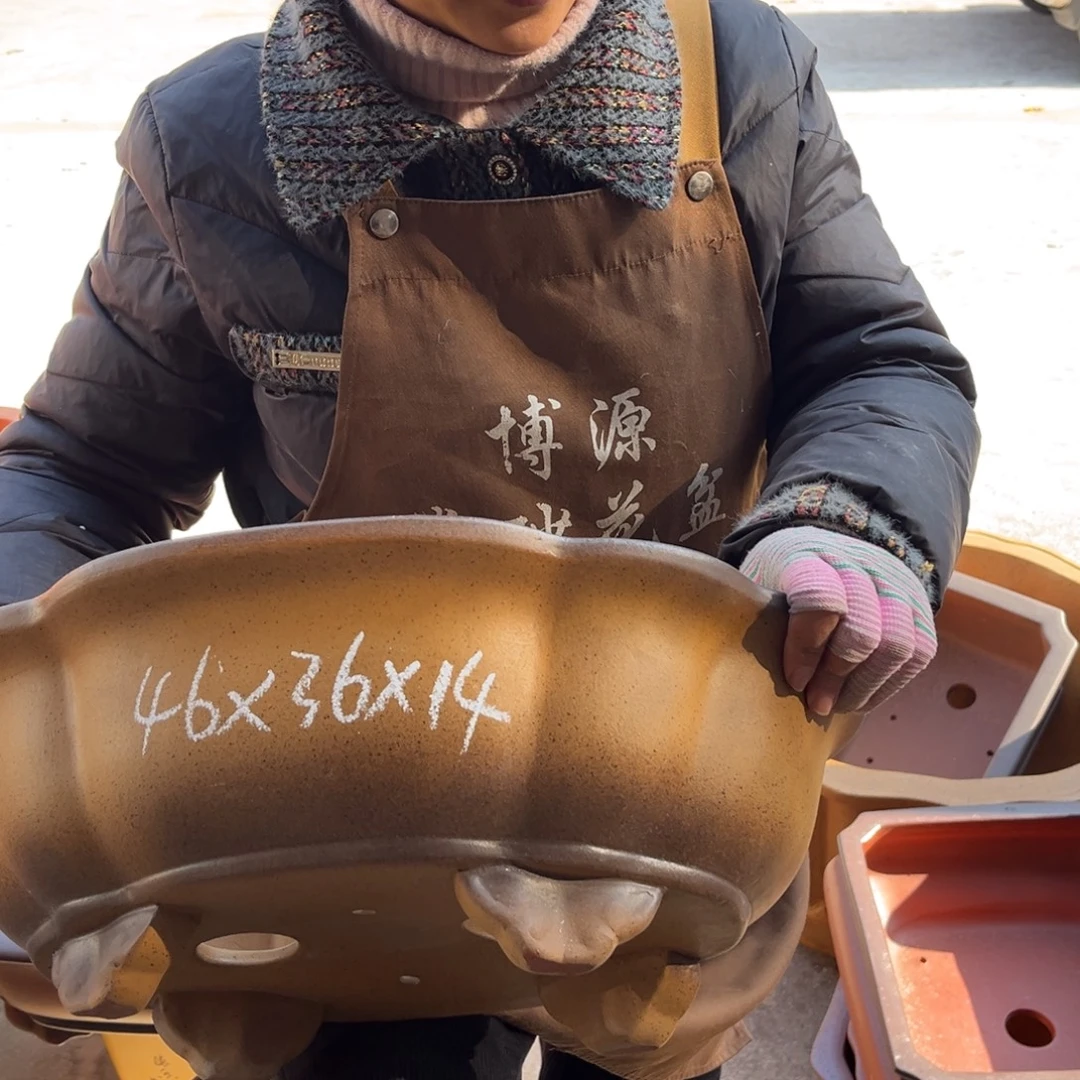 花盆紫砂盆景艺术