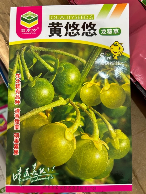 黄悠悠龙葵种子（新老包装随机发货）