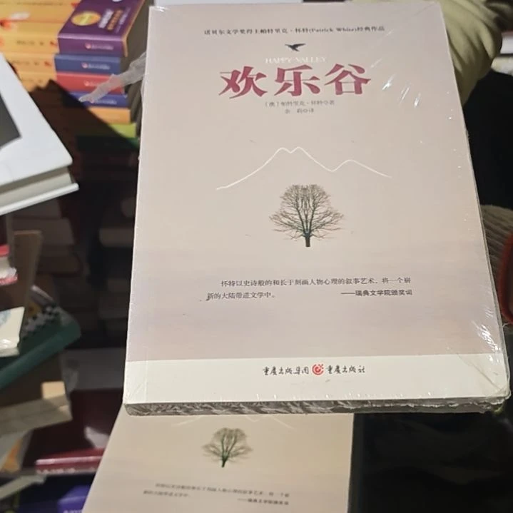 欢乐平装库存书库存书微瑕介意勿拍