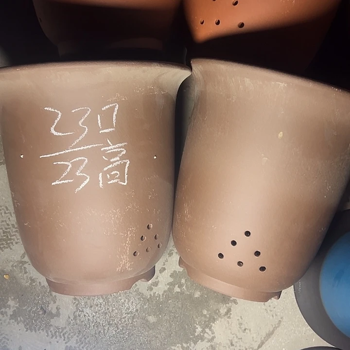 试试再说再说再说再说