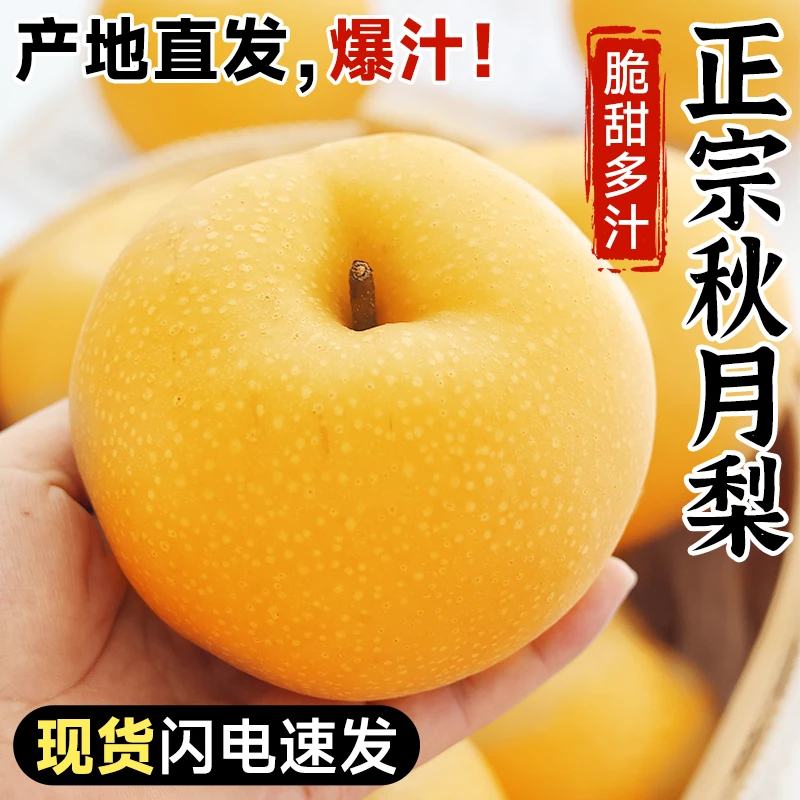 25年头茬秋月梨新鲜梨子当季现摘翠冠冰糖梨雪梨蜜梨水果整箱包邮