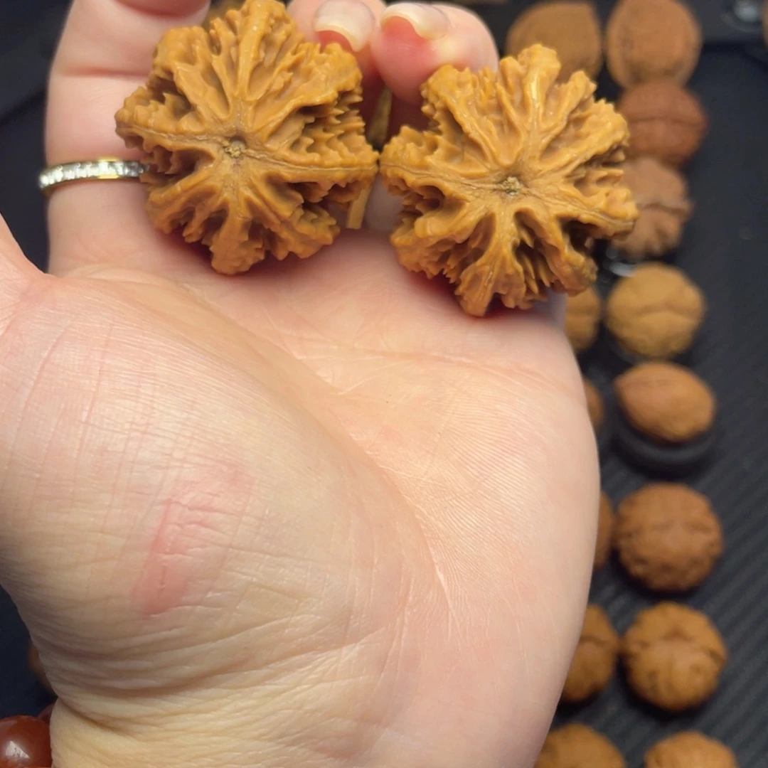 文玩核桃把件粗筋霸王龙