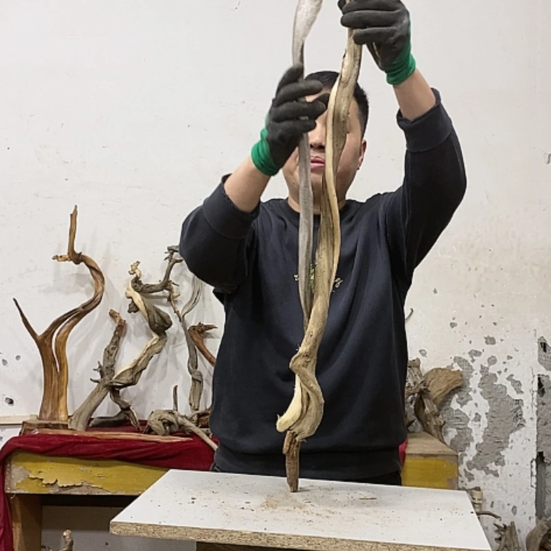 【闪购商品】柏木清**尘我们都是好孩子