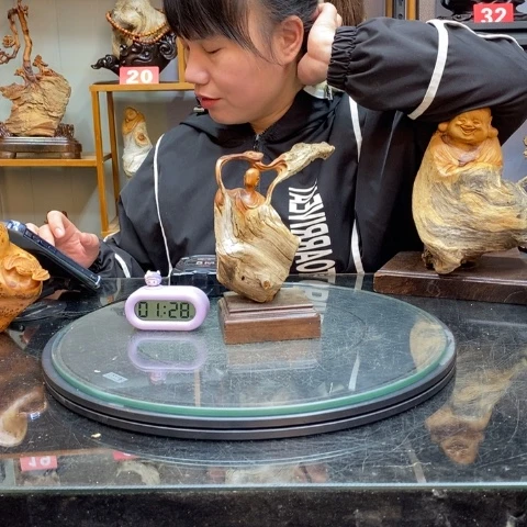 柏木（崖柏）勤**力太行崖柏陈化料摆件