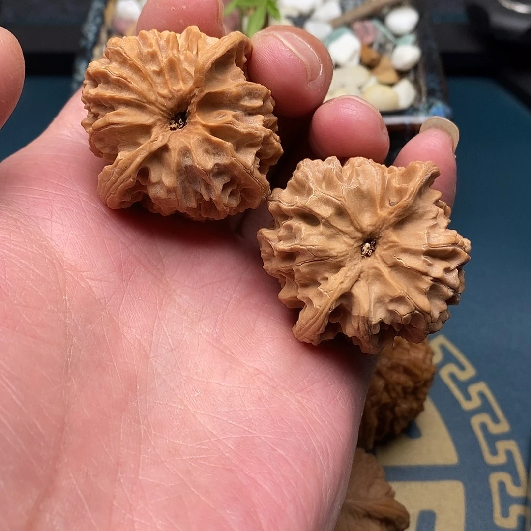 文玩核桃苹果园40全品