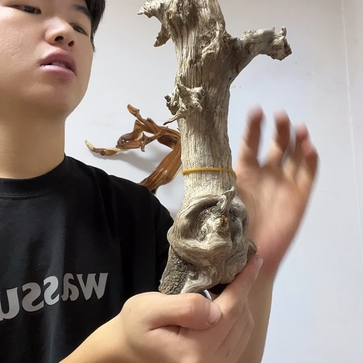 深***司柏木我也想去的路上都没有