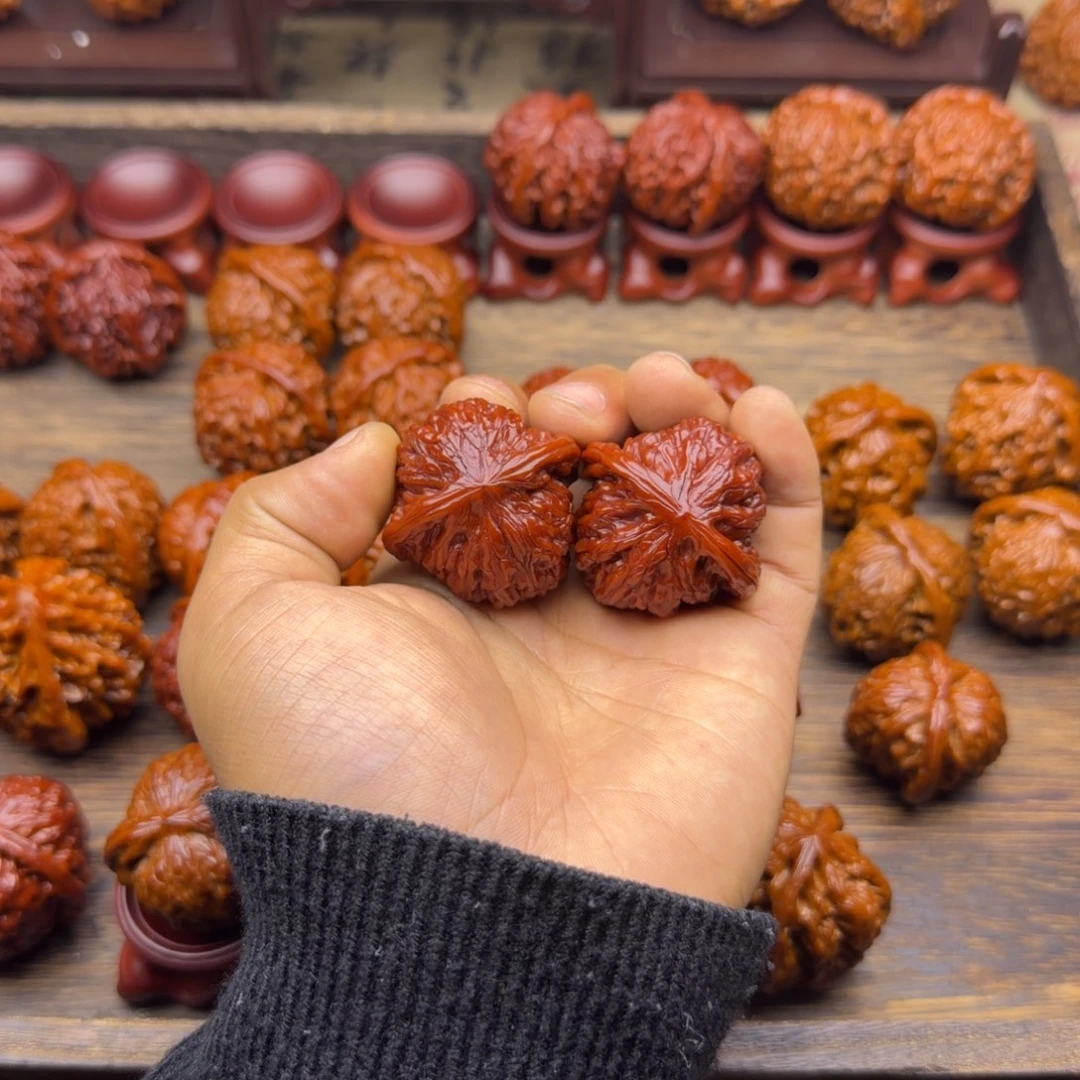 菩提籽类宝贝宝贝宝贝