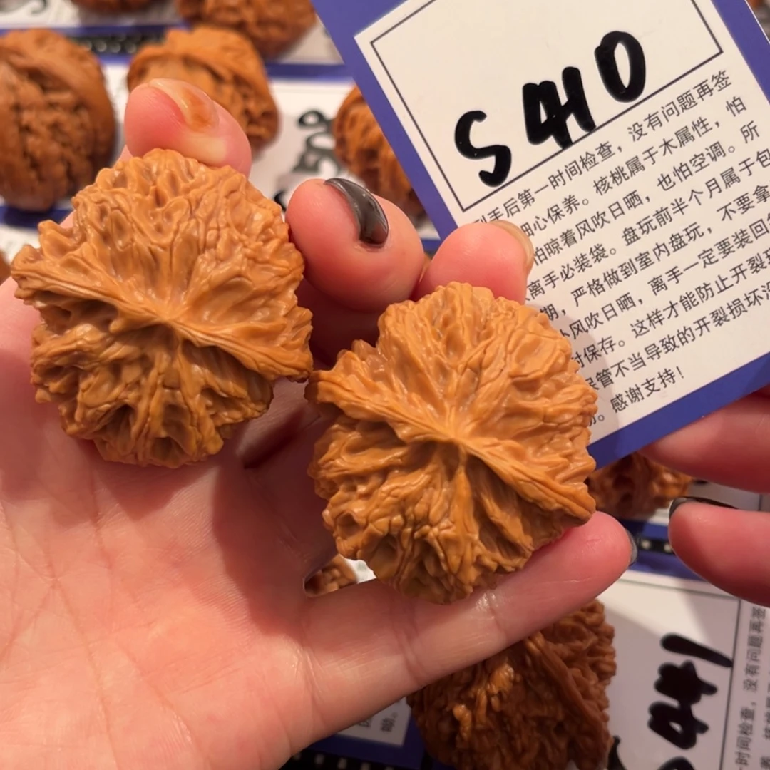 核桃S410号苹果园41尺