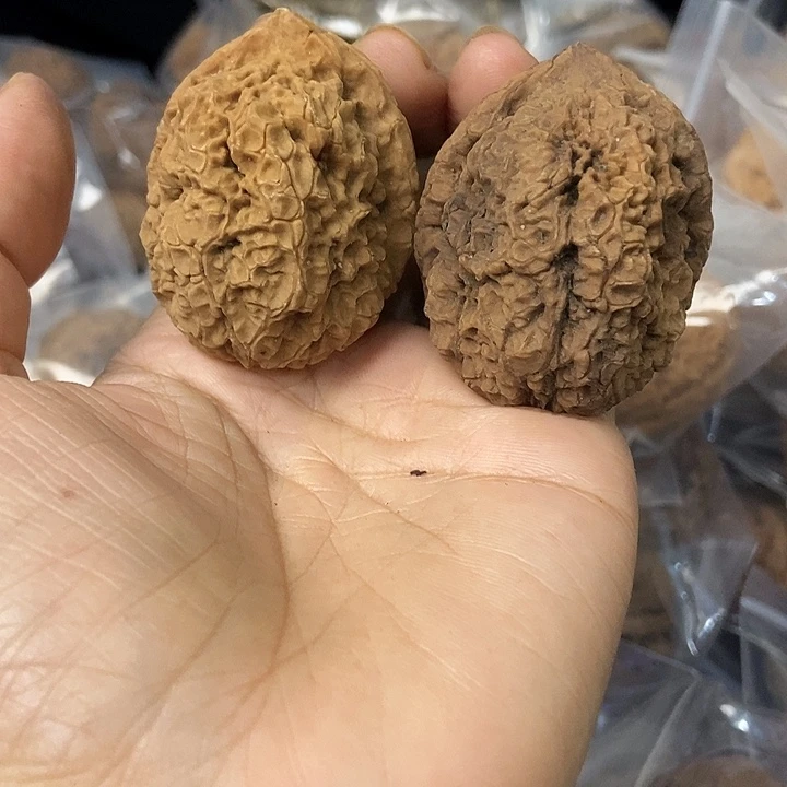 文玩核桃把件云南铁核桃基地50