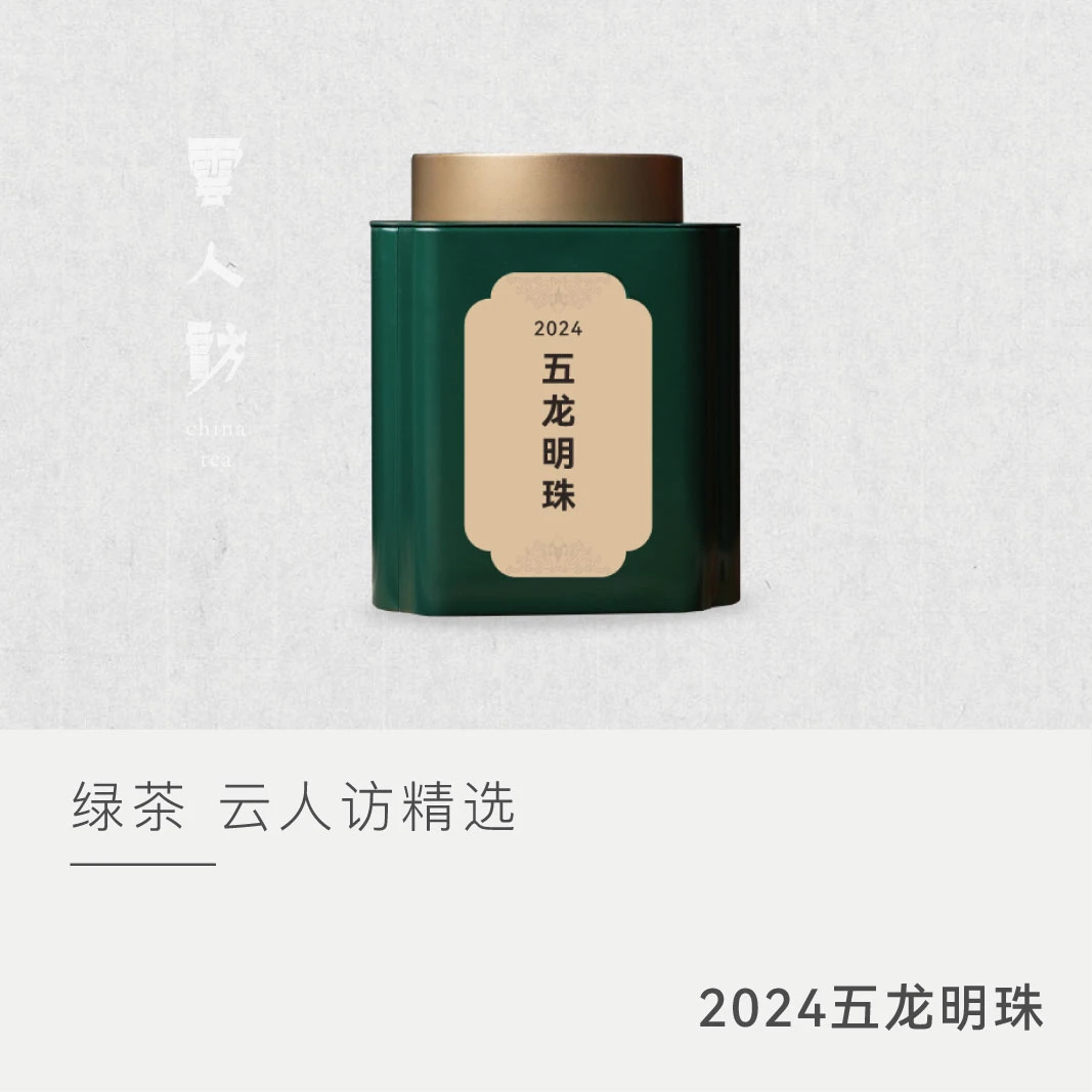 【2024年五龙明珠】茶叶绿茶  新茶明前头采 卷曲形 花香 嫩香