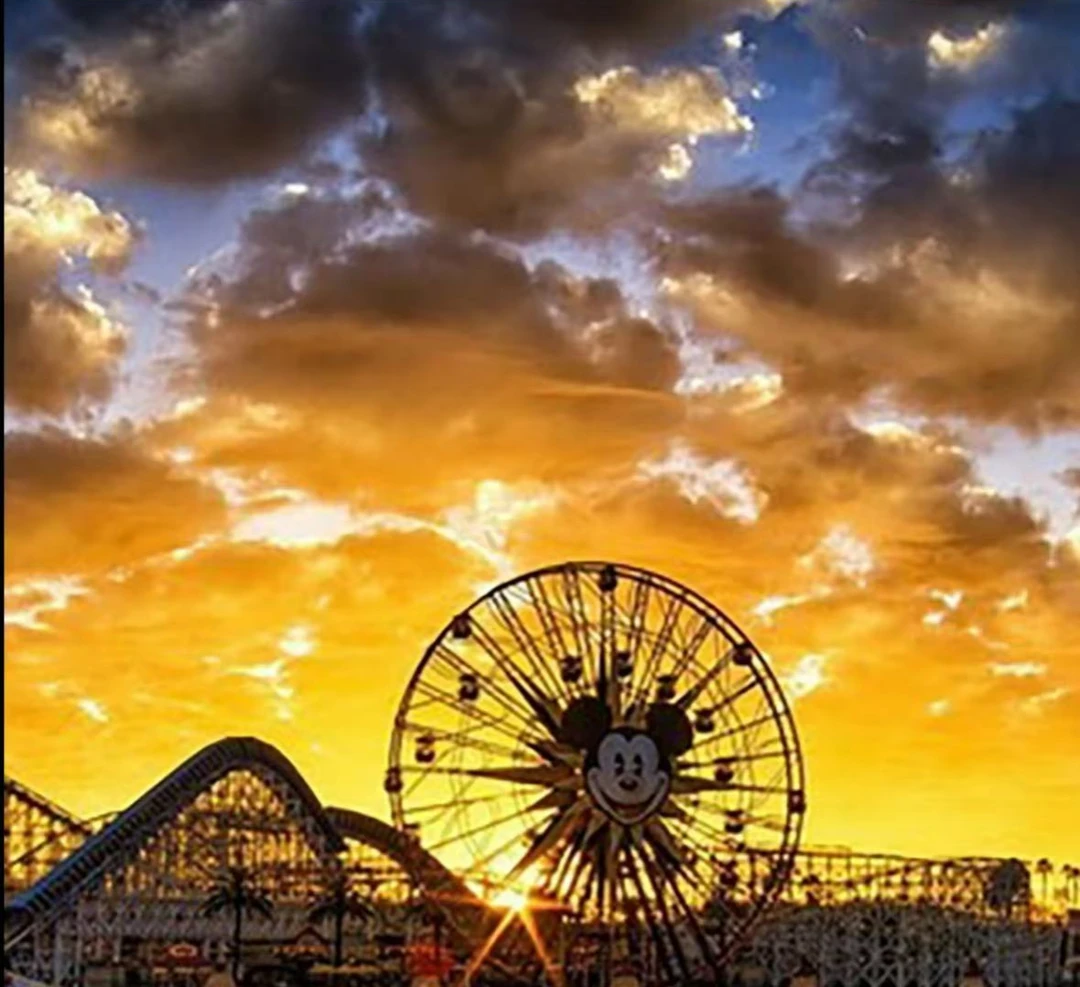 【26017】2025夏季设计师新款提花时尚短袖