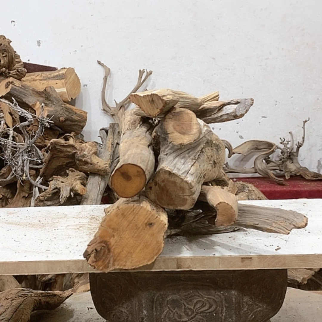 【闪购商品】柏木柏****品我们都是好孩子