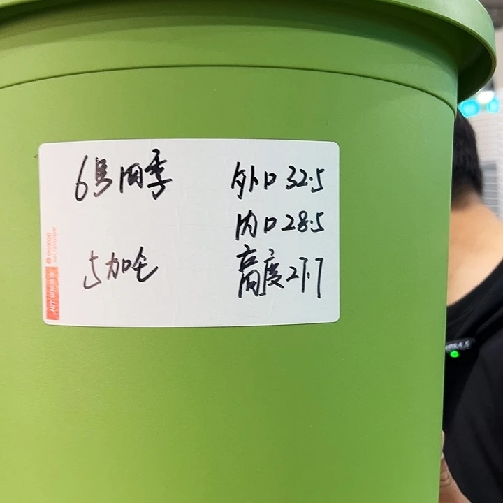 特价四季6口32高28白色7只无托