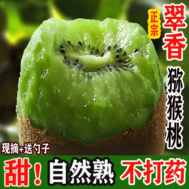 陕西周至正宗翠香猕猴桃新鲜水果当季纯甜绿心奇异果5斤整箱