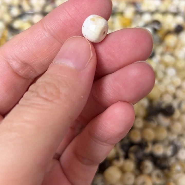 蜜蜡未镶嵌裸石8.8mm一个