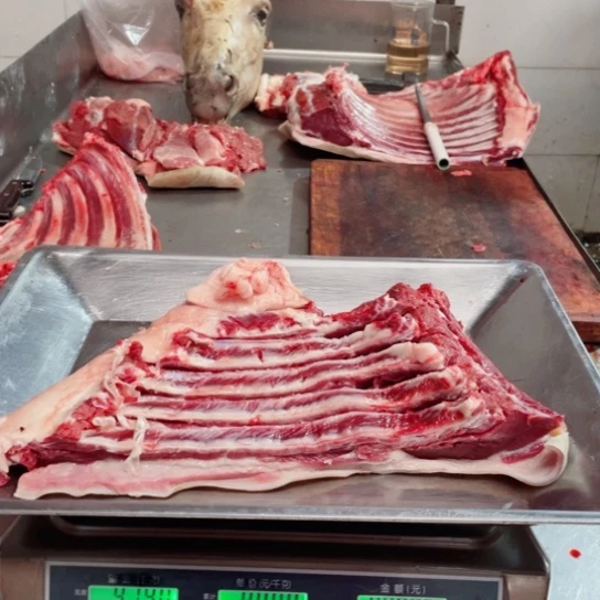 【闪购商品】冷冻保存30天包装河北省