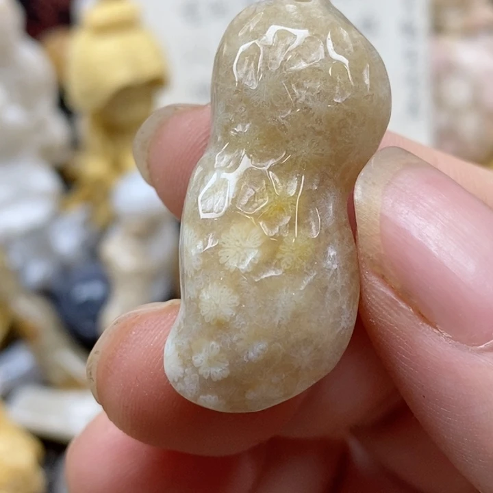 颈饰未镶嵌硅化珊瑚（珊瑚玉）