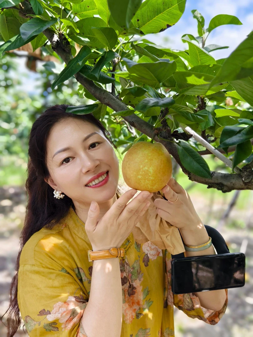 灌阳高山雪梨现摘现发脆甜多汁