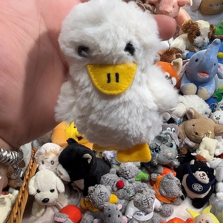 毛绒挂件豆袋哈哈哈哈哈哈
