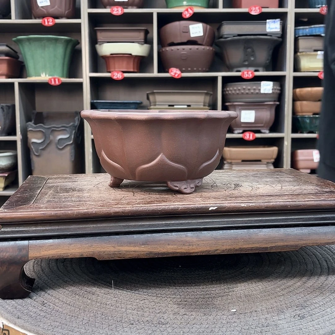 紫砂花盆紫砂的颜色很好看