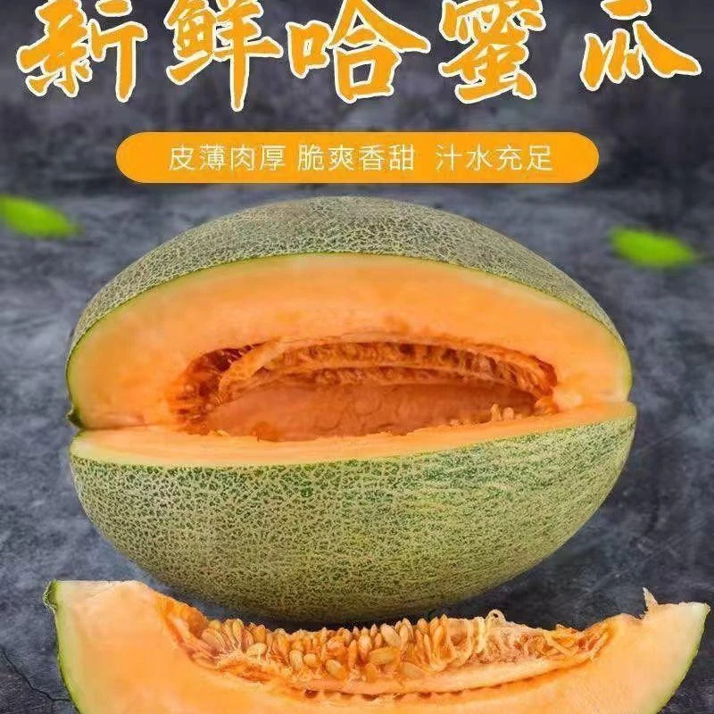 【脆爽清甜】正宗海南哈密瓜薄皮肉厚脆甜爽口多汁新鲜水果晓哈密瓜