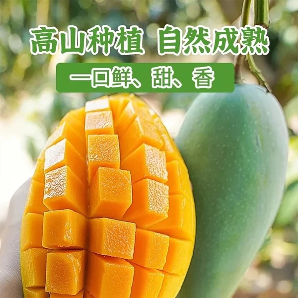 越南热带时令水果大芒果应季水果整箱新鲜水果