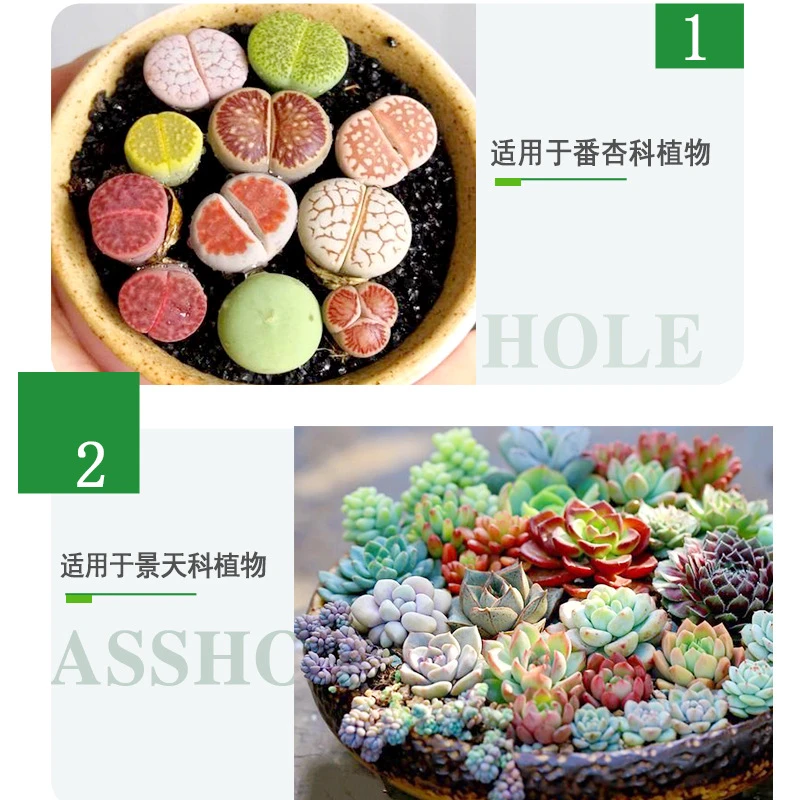 多肉兰花屁屁土肉锥播种专用颗粒土番杏科种植育苗自配营养土