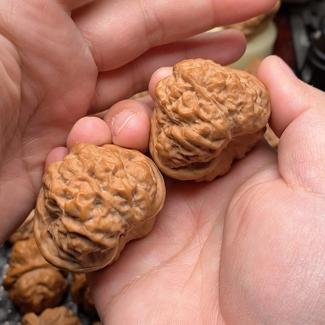 文玩核桃把件路***叶蛤蟆