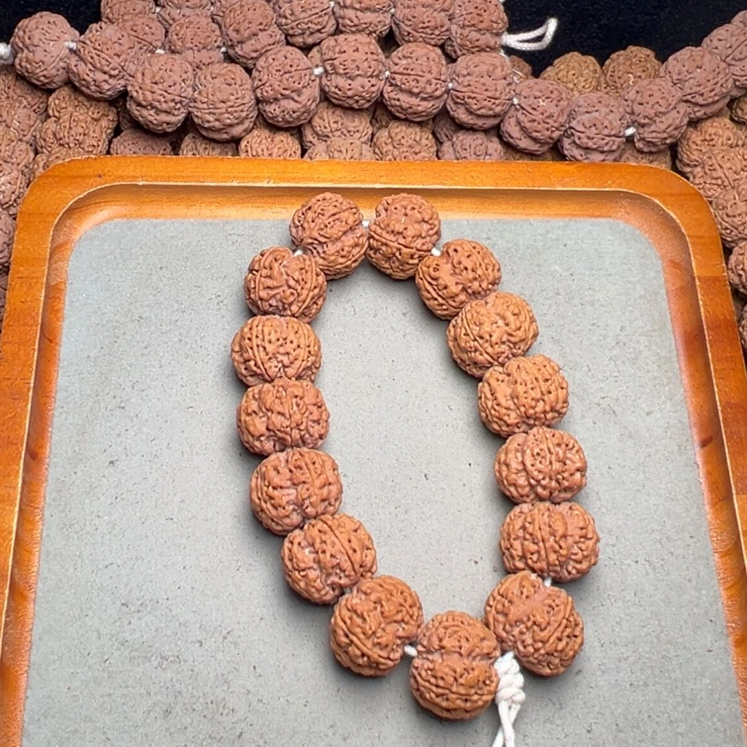 菩提25号金刚菩提方墩梅花24