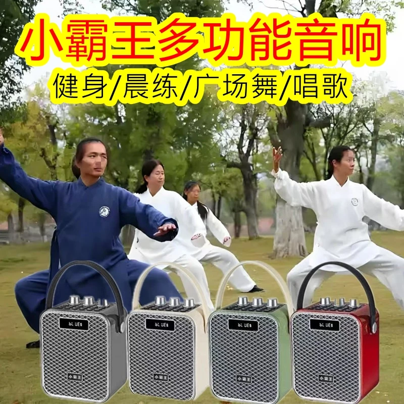 小霸王S66广场舞小音箱便携式电吹管家用K歌话筒重低音炮蓝牙音响