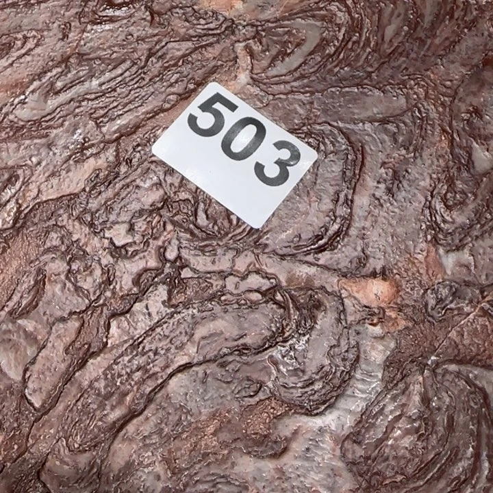 11111111111用****011111111111