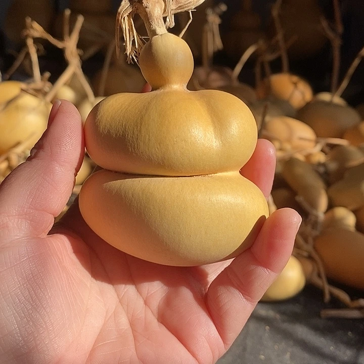 杰****艺葫芦的颜色是蓝色的
