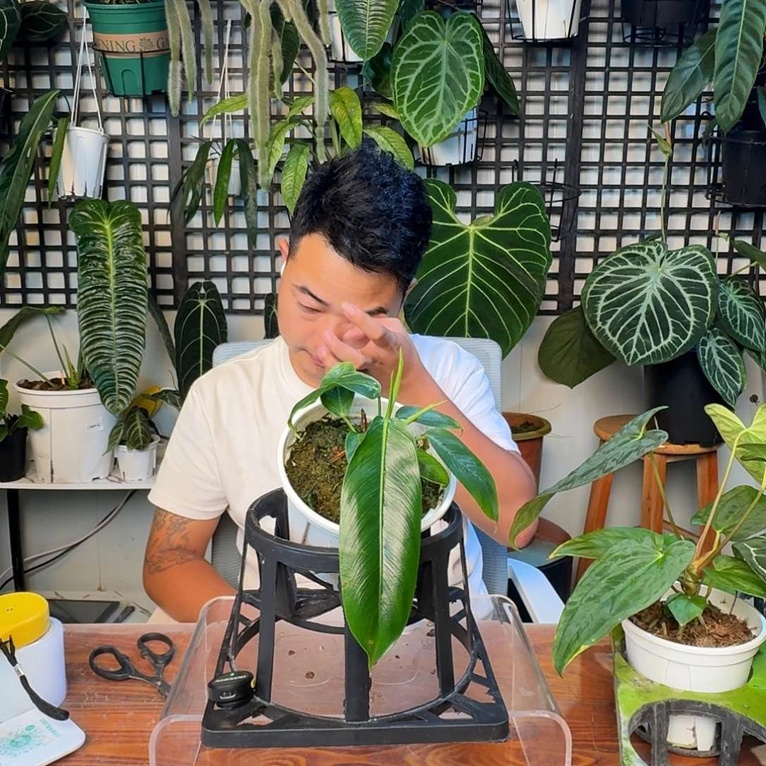无花朵B****.一物一拍F16