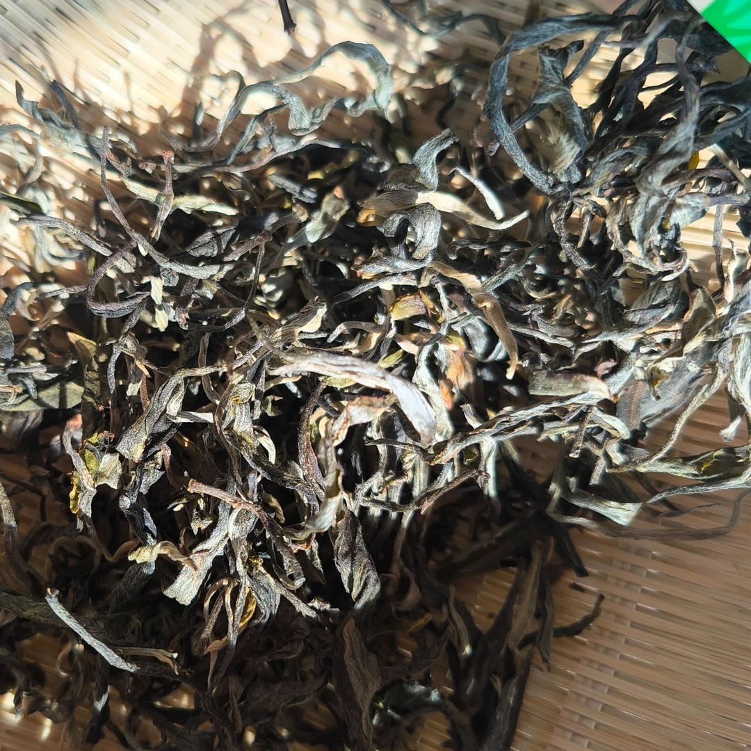 （刘安国）2025年400年古树单株普洱云南普洱生茶