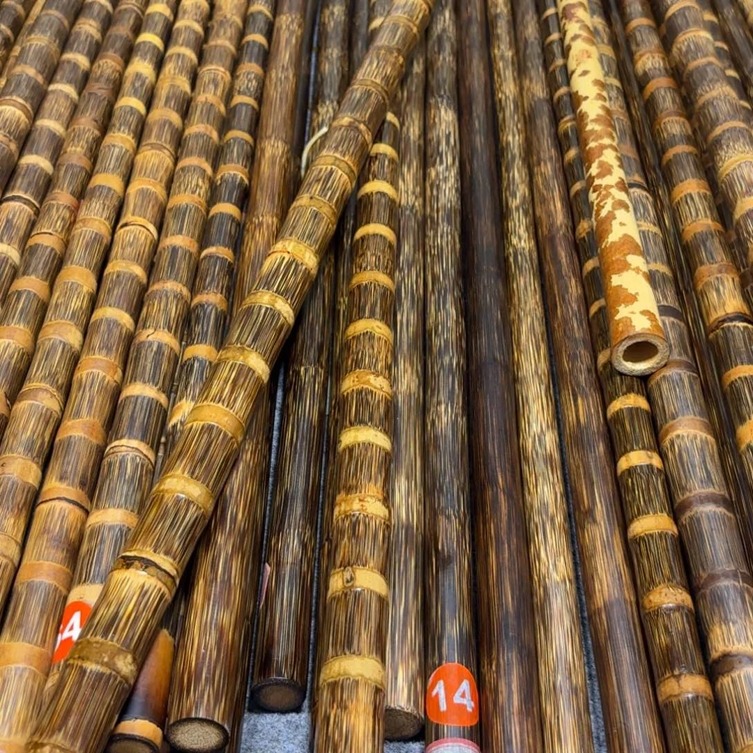 l***g1.3米2.5左右粗精品高货实心金丝竹