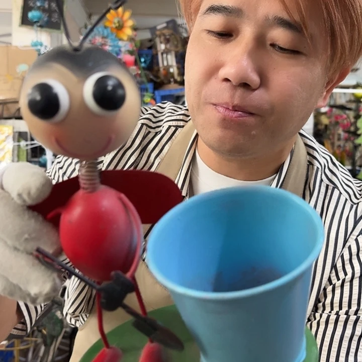 核桃木/黑胡桃（胡桃木）