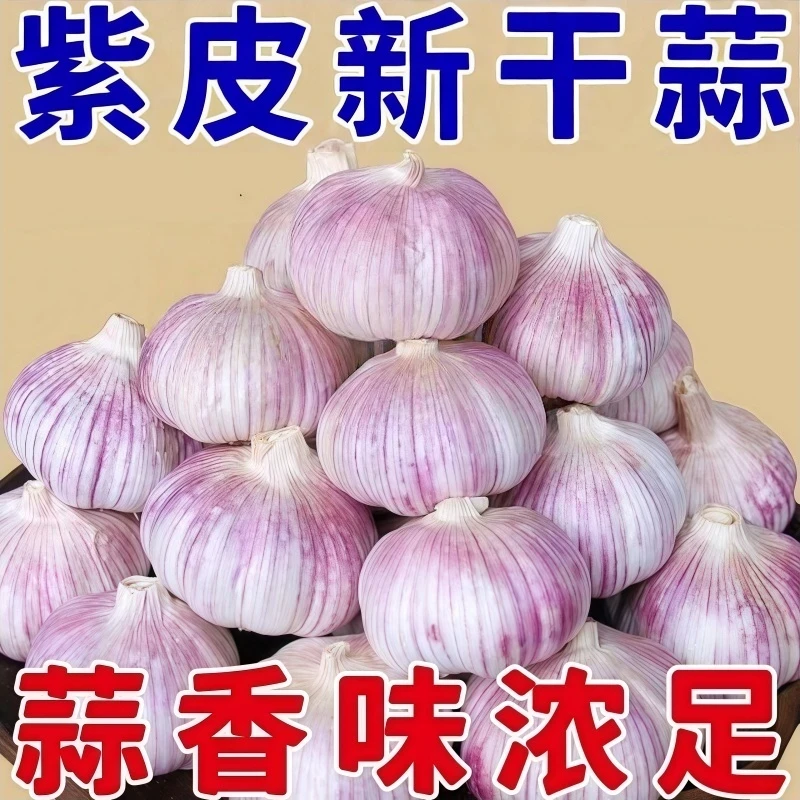 【到手40个】干小蒜紫白皮新鲜干蒜饱满香辣可做腊八蒜厨房调味