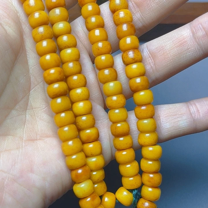 大果紫檀（缅甸花梨）