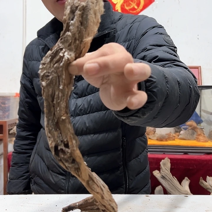 柏木三*叶我们的生活是以一