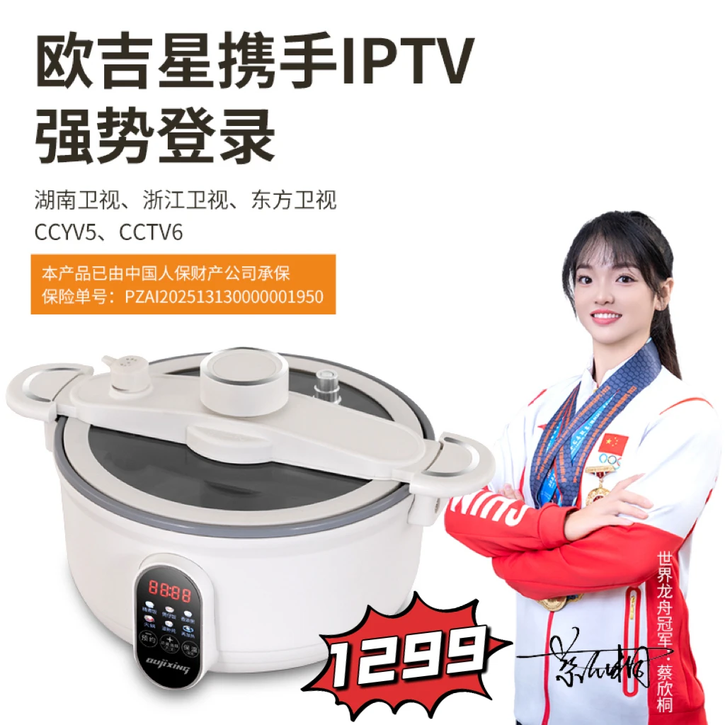 德国欧吉星oujixing真微压电饭煲焖炖煮煲火锅煎炒 3L（Y)