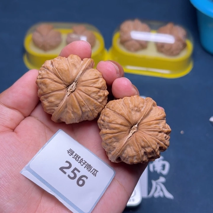 文玩核桃把件南瓜墩43-256
