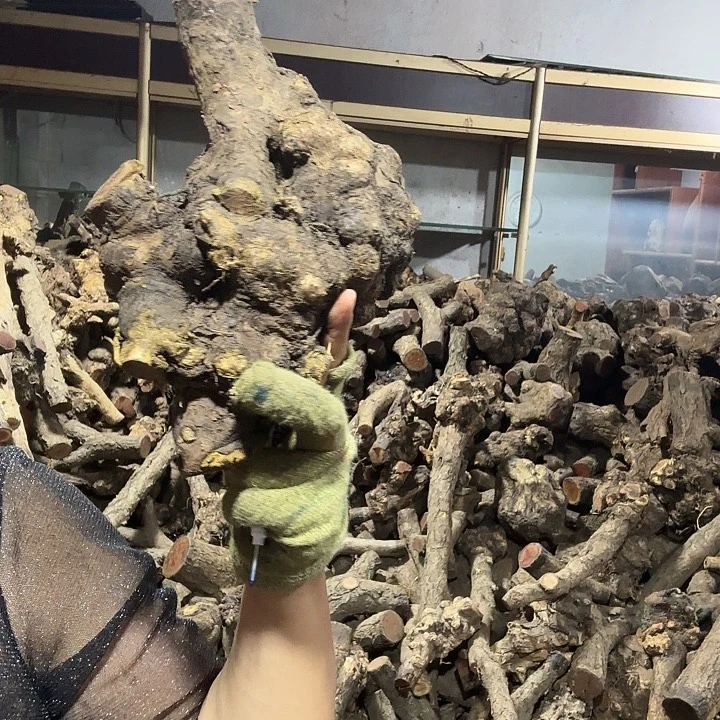 过***客香榧木火琉璃的故事是一