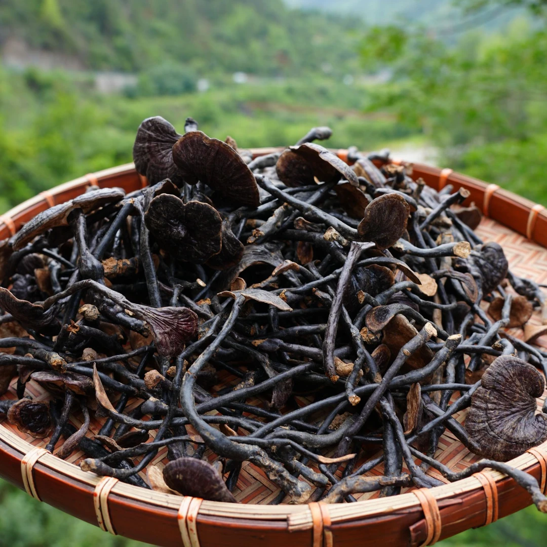 【现收灵芝】无硫泡水泡酒