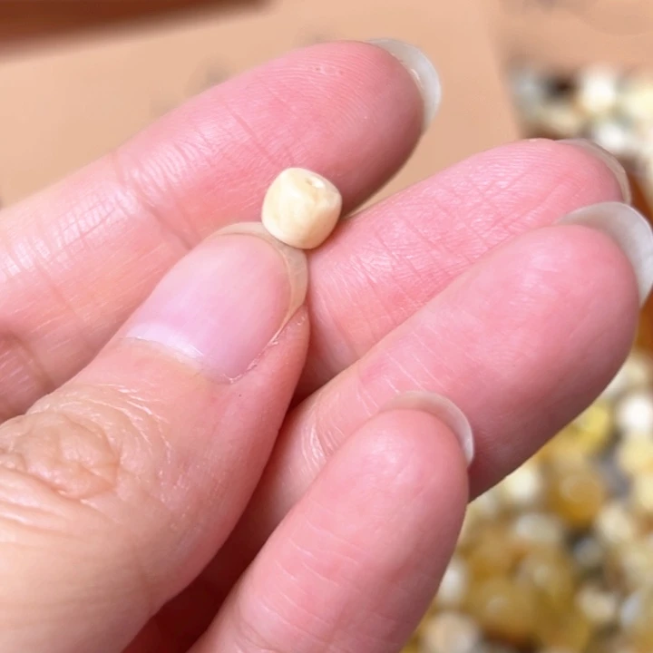 未镶嵌蜜蜡裸石6.1mm一个