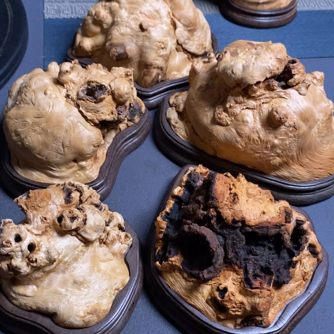 虎***眈木荔枝木直播间链接