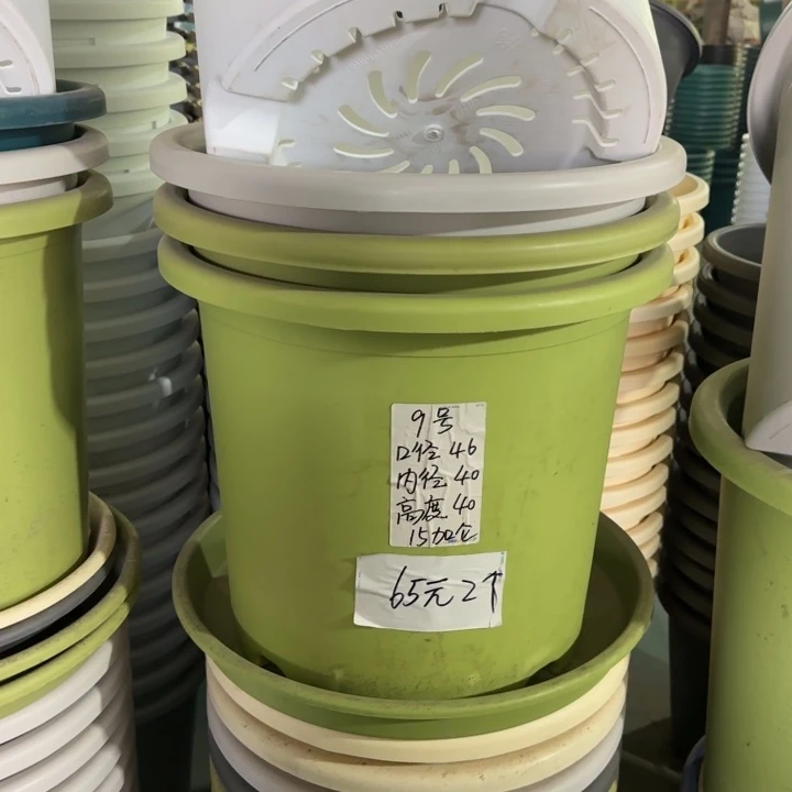 微瑕9#口径46无托果绿3个