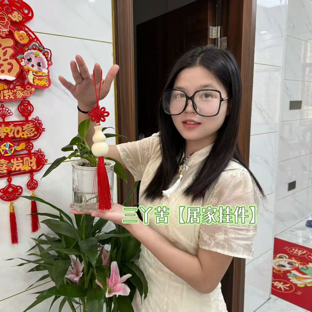 【全部老师傅】三丫苦葫芦 居家摆件