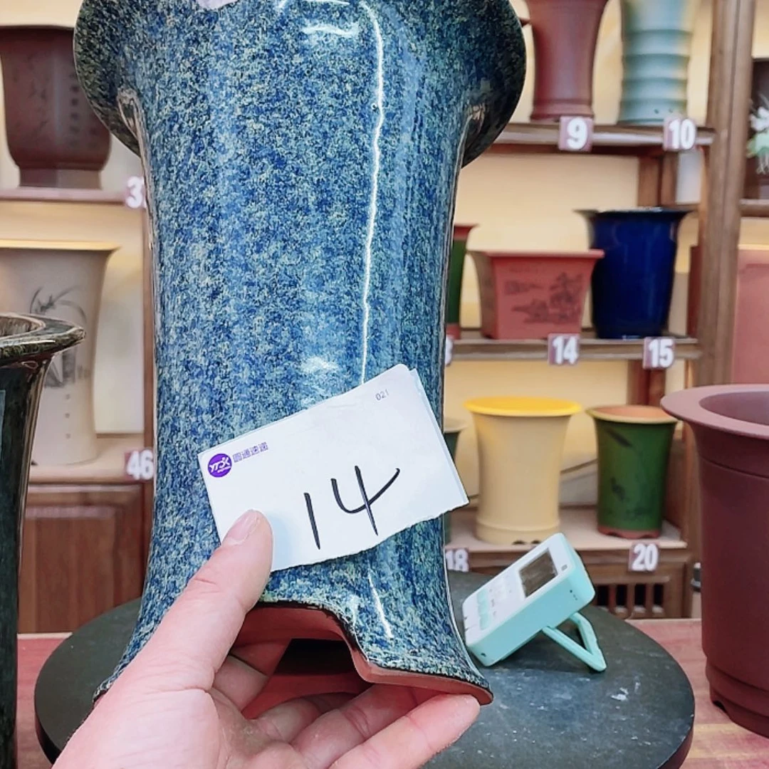 【闪购商品】紫砂花盆南*兰花455887889908888858
